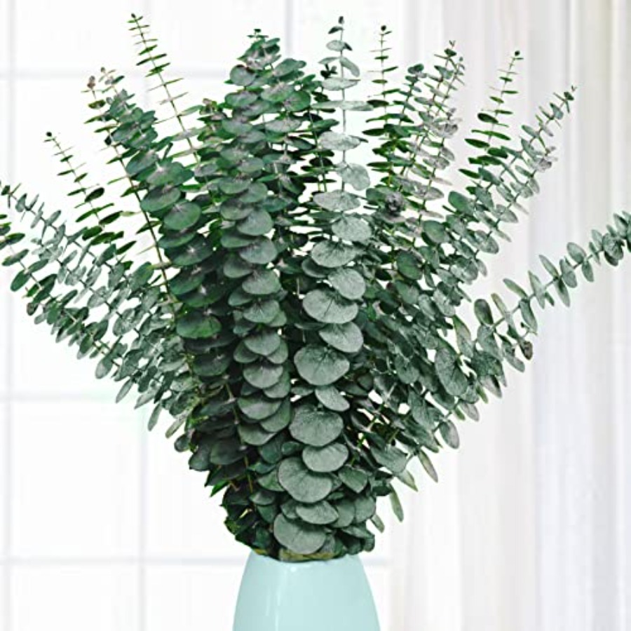 20 Pcs Preserved Dried Eucalyp - огляд і ціна Eucalyptus Preserved