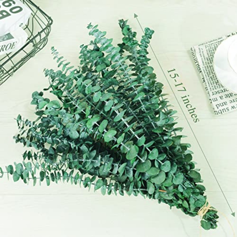 20 Pcs Preserved Dried Eucalyp - огляд і ціна Eucalyptus Preserved