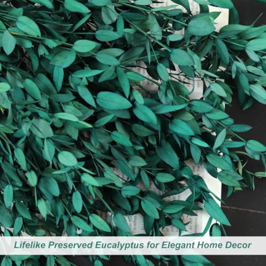 Dried Eucalyptus Leaves Preser - огляд і ціна Eucalyptus Preserved