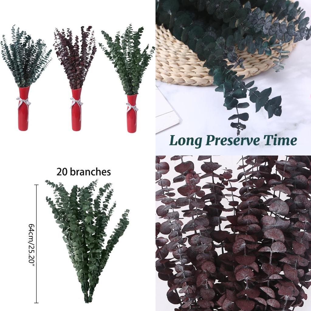 20Pcs Preserved for Fresh Euca - огляд і ціна Eucalyptus Preserved