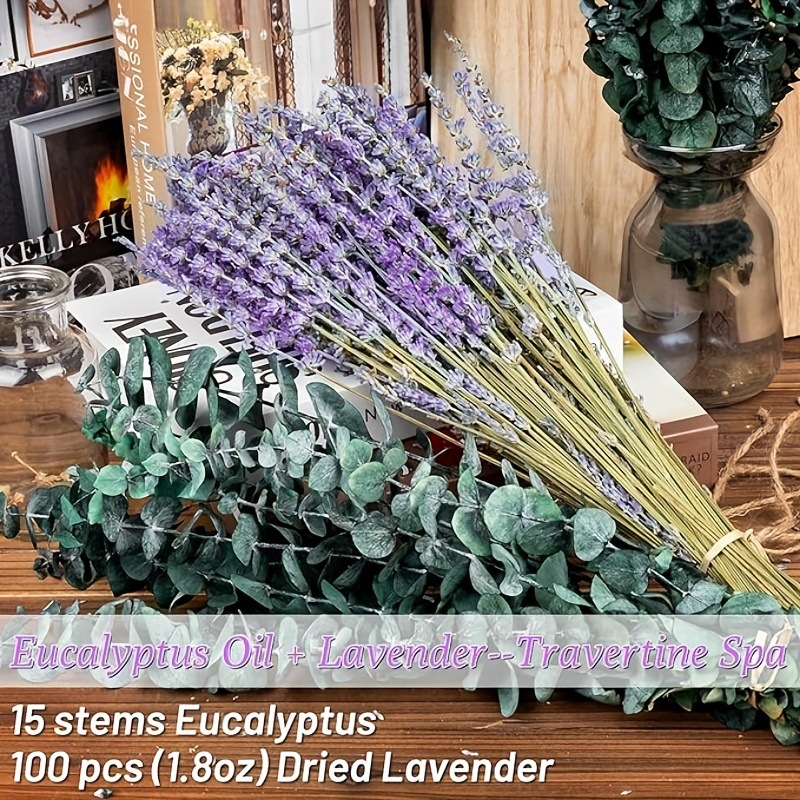 Preserved Lavender & Eucalyptu - огляд і ціна Eucalyptus Preserved