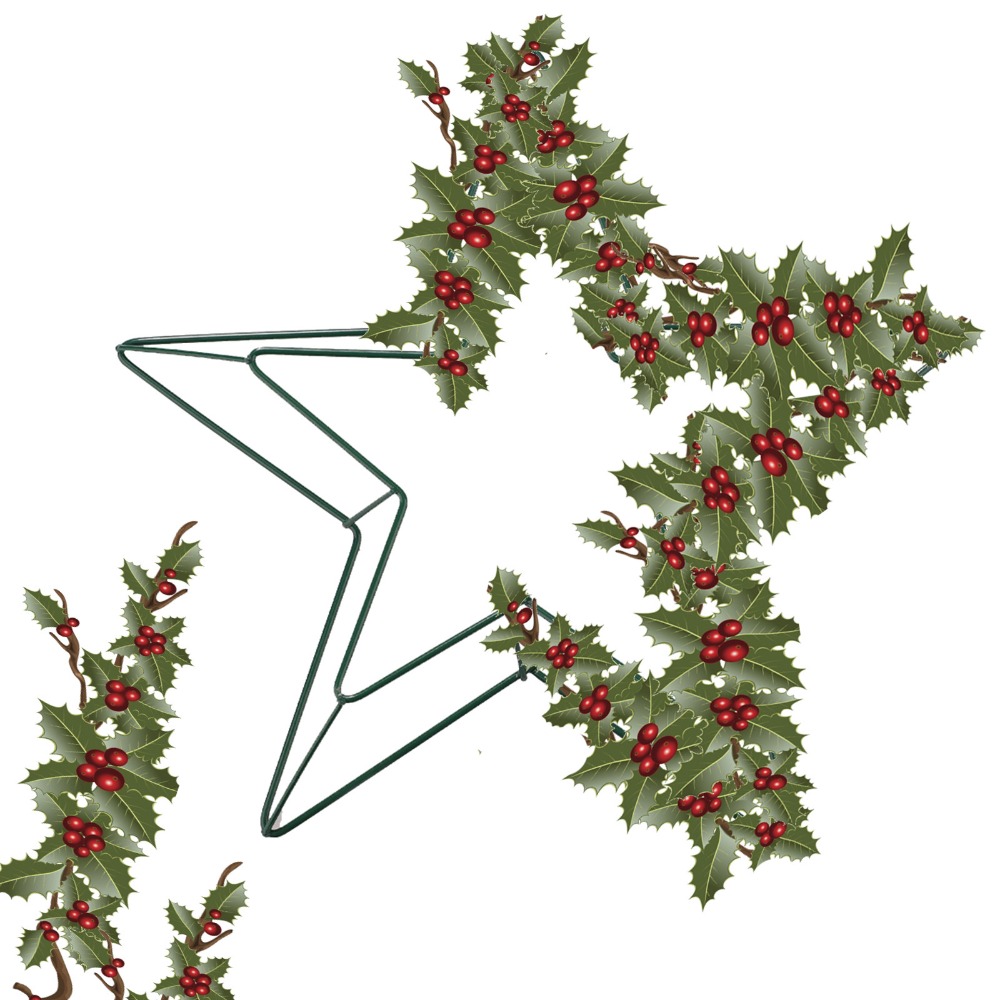 Floral Crafts Metal Wire Star  - огляд і ціна Wreath Form Wire