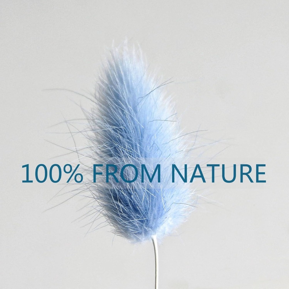100PCS Blue Hare's-tail Grass  - огляд і ціна Florist Supply Vases